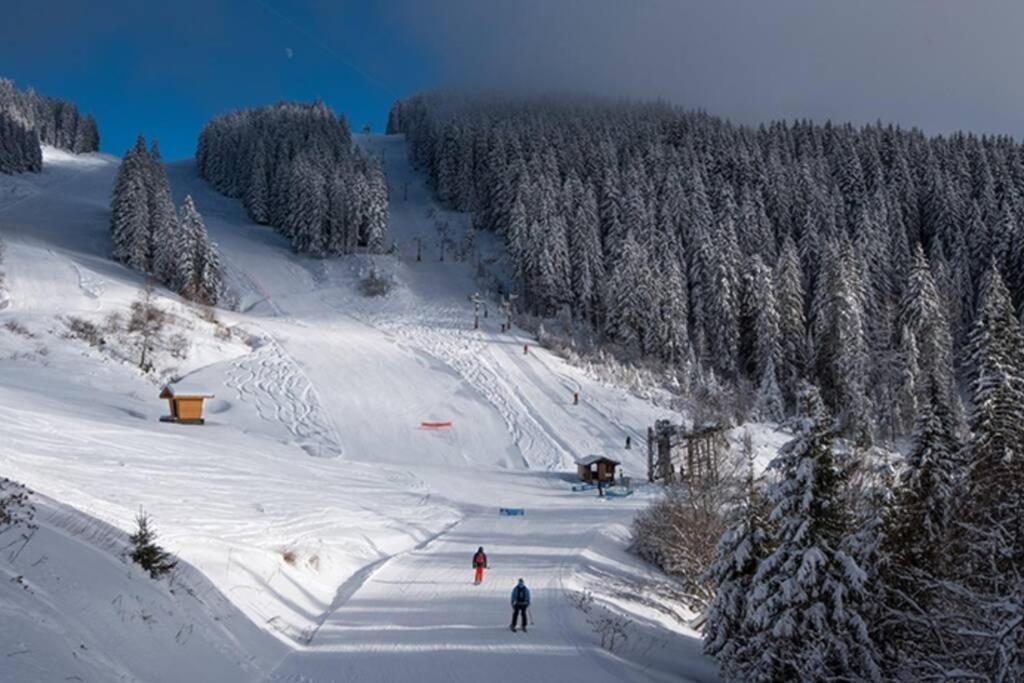Le Relai S34 - Grand Et Lumineux Studio Avec Coin Montagne 4-6 Pers Avec Wifi, 50M Des Pistes, Grand Balcon Expose Sud, Draps Non Compris Saint-Jean-dʼAulps 外观 照片